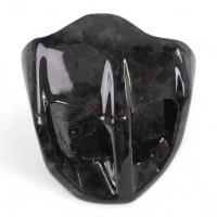 Cache pot (embout) carbone bmw f900r 2020- f900xr 2020-