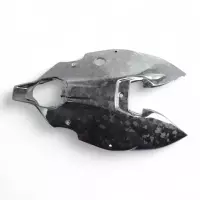 Passage de roue carbone ducati streetfighter v2 2021-