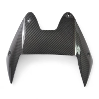 Sabot arrière sous échappement carbone zzr 1400