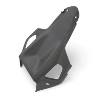 Passage de roue carbone ducati monster 1200r 2016