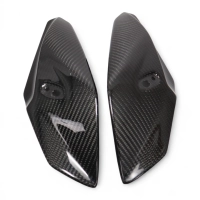 Caches latéraux de tête de fourche carbone bmw s1000r 2014