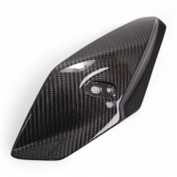 Caches latéraux de tête de fourche carbone bmw s1000r 2014