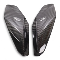 Caches latéraux de tête de fourche carbone bmw s1000r 2014