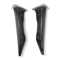 Paire de caches radiateur carbone mv agusta brutale