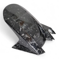 Lèche roue carbone z1000 2003-2006 z750 2004-2006 zx6r 2003-2004