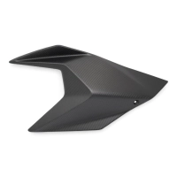 Ecopes latérales carbone ktm 1290 super duke gt 2019-2022