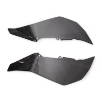 Flancs hauts de carénage carbone pour bmw f900xr 2020-