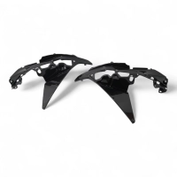 Flancs de carénage (partie intérieur) carbone kawasaki ninja 650 2020-