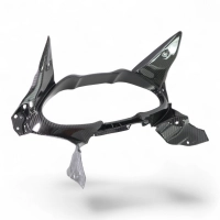 Entourage du cockpit carbone suzuki hayabusa 2021-