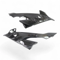 Flancs de carénage carbone bmw s1000rr 2023-