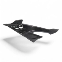 Flancs de carénage carbone bmw s1000rr 2023-