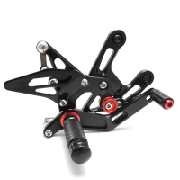 Kawasaki-2011-14-zx10r-mgp-rearsets-5.png