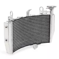 Radiateur aluminium pour ducati monster 821/supersport 939
