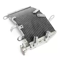 Radiateur aluminium pour ducati monster 821/supersport 939