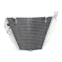 Radiateur aluminium (partie basse) pour ducati streetfighter 848/1098