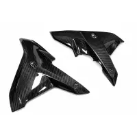 Flancs de carénage partie avant carbone bmw r1200rs 2015-2018