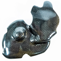 Cache allumage carbone sebimoto kawasaki zx6r 2006 2007