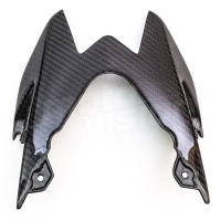 Cache sur feu arrière carbone brillant bmw s1000r 2014 - 2018 s1000rr 2015 +