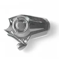 Cache moteur carbone ducati monster 937/950 stealth 2021.jpeg