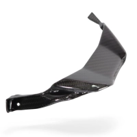 Lame sous phares carbone bmw s1000rr 2023-