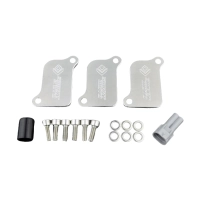 Plaque de suppression antipollution triumpg speed triple 1050