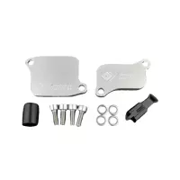 Plaque de suppression antipollution triumph daytona 675 - 675 r - street triple 675 - 675 r