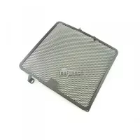 Protection de radiateur triumph 675  06-12