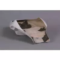 Coque monoposoto poly bikesplast triumph daytona 675 2006-2012