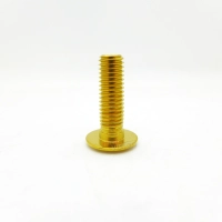 Vis de disque de arrière pour bmw nine-t