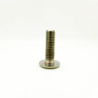 Vis de disque de arrière pour bmw nine-t