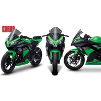 Bulle corsa pour kawasaki ninja 300r / 250r 2013-2019 zero gravity racing