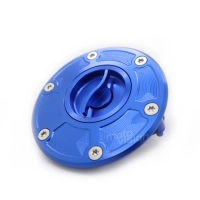 Trappe à essence triumph 675 06-16.jpg