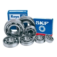 Skf6005.r3.jpg