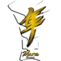 Protège réservoir autocollant hayabusa or