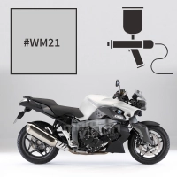 Peinture bmw light grey metallic k 1300 r 2009-2012