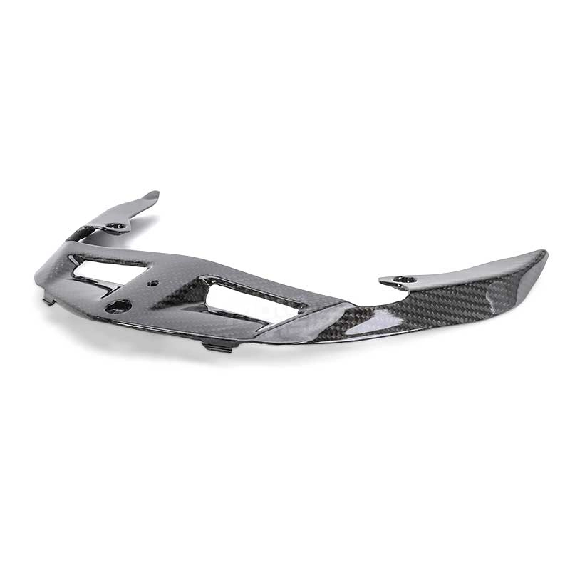 Carénage carbone ducati multistrada 950 2019-2020