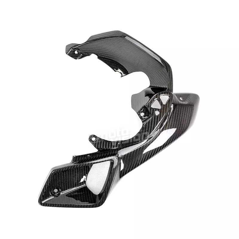 Caches sur entrée d'air carbone bmw r1200gs r1250gs 2013-2016