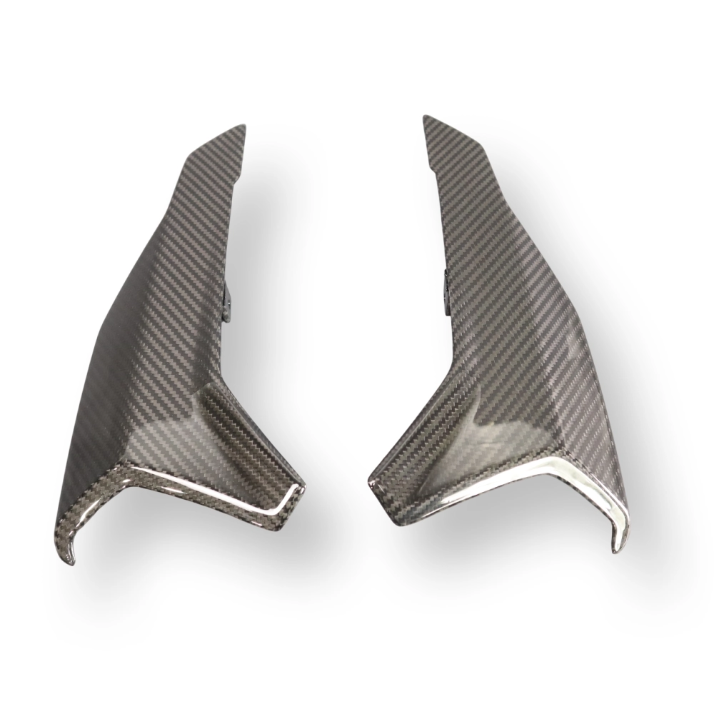 Flanc de coque arrière carbone bmw s1000r 2021- m1000r 2023-