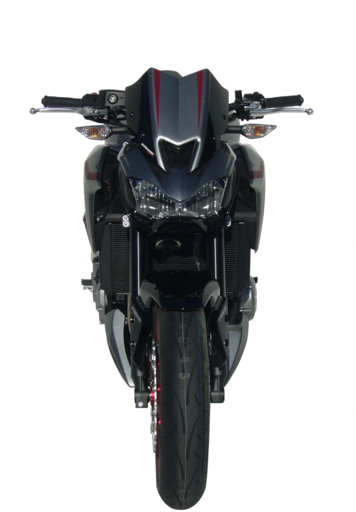 Tête de fourche abs ermax kawasaki z900 2017-2019