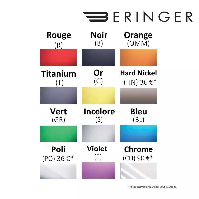Https://site.moto-vision.com/medias/img/beringer/etriers/gamme-couleurs.png