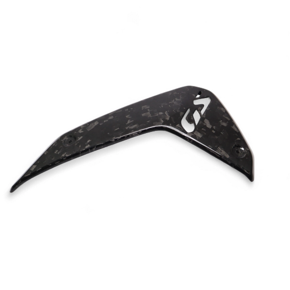 Ecopes latérales carbone bmw r1300gs 2024-